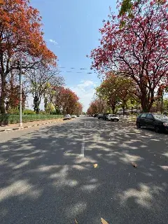 Panjab University Chandigarh Campus photo 7